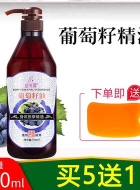 正品生姜按精油摩用刮痧通经络玫瑰推拿美院老姜全身开 背容专发
