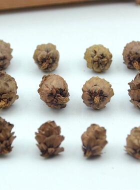 50pcs Natural Cheap Mini Pine Nuts Artificial Fake Fruit Veg