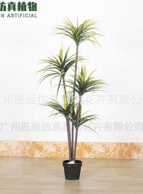 可弯曲仿真客厅植厂家销客001厅盆栽植物人直造装龙饰树血树洋绿