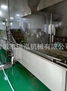 连翘清洗杀青机连续式不锈钢材深加工设备香椿芽预煮漂烫机