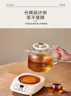 2025新款全玻璃养生壶炖煮多功能一体小型办公室家用纯玻璃花茶壶