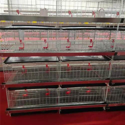 现货立式四层小鸡笼育雏鸡笼层叠式养鸡笼养鸡设备养殖场鸡舍用 - 图0