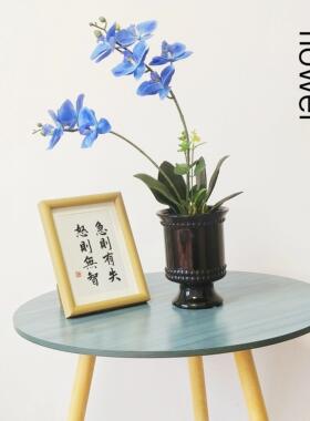 欧式ins风陶瓷花盆现代简约个性创意室内桌面蝴蝶兰石斛兰花盆