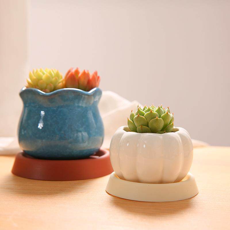 加厚沥水托盘花盆底盘盆托底盘托底垫花盆底座多肉绿植透气防烂根,淘宝优惠券,粉丝福利购,淘宝优惠卷