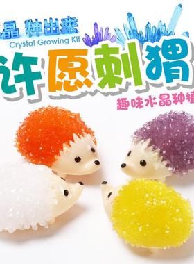 DIY自种水晶魔法刺猬玩具许愿结晶生长制作培养科学实验新款礼物