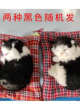 仿真小743睡猫件动布垫猫物咪小礼物地货源创意礼品家居摆车摊饰