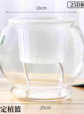 简约培植玻璃玻璃花瓶圆球花瓶