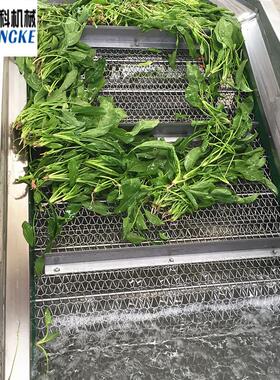气泡喷淋土豆清洗机苹果叶类蔬菜清洗设备全自动清洗风干流水线