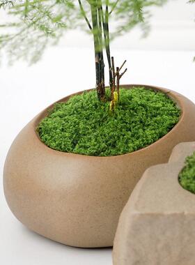 新款 仿真苔藓 人造青苔草坪草皮绿植装饰造景盆景铺面丝状假苔藓