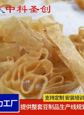 人造肉机 全自动多功能牛排豆皮机素肉机械 黄豆榨油深加工设备