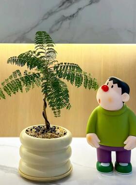 歪头胖虎模型卡通动漫潮玩摆件客厅玄关电视柜儿童房装饰生日礼物