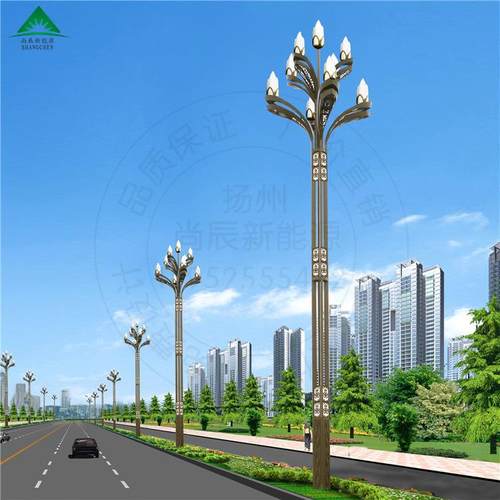 LED玉兰灯户外照明广场照明八叉九火玉兰灯来图来样可制厂家直销 - 图0