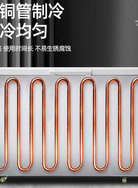 商用冰柜大容量厨房肉类冷海鲜藏冷冻柜家用卧式冰箱雪糕柜冰柜