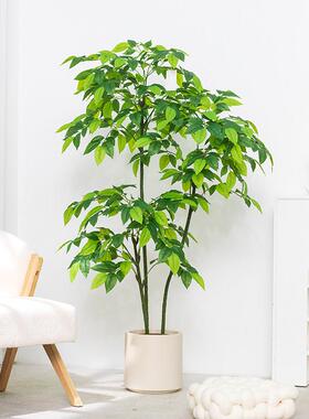 彷真绿色植物幸福树发财树盆栽摆件室内客厅家居装饰植物彷真植物