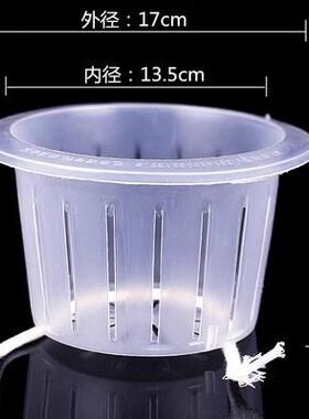 无土栽培水培定植篮鱼缸花盆固定篮加深玻璃花瓶固定架器绿萝固根