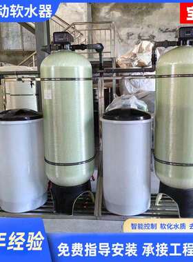 全自动软水器水处理设备钠离子交换器工业地下水软化水处理设备
