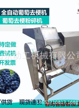 转筒式金手指葡萄去梗脱粒机商用桑葚去梗机工业阳光玫瑰去梗机