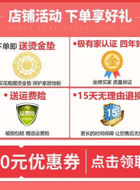 落地大号陶瓷花瓶客厅电视柜旁边现代简约干 干燥花插花高号装饰