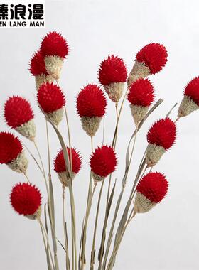 适合客厅放的干花云南干花草莓果干花手工DIY网红小花束百搭小清