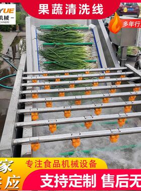 工业用材黄精天麻清洗线全自动手剥笋洗菜机果蔬气泡清洗机