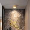 All-copper surface-mounted downlights, no openings, living room ceiling lights, Nordic light luxury corridor, entrance aisle, ceiling led spotlights