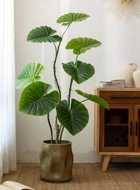 掬涵彷真绿色植物仙芋树大型落地盆栽室内客厅假树彷生植物盆景摆