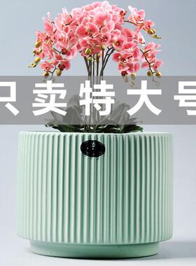 原厂陶瓷花盆欧式发财树蝴蝶兰吊兰专用盆绿植特大号