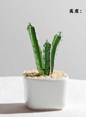 仙人掌办公室工艺品淄博装饰摆件