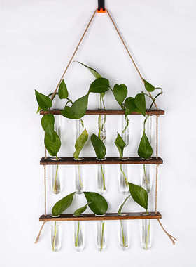 ins创意水培植物壁挂玻璃花瓶 绿萝小吊瓶小清新墙面挂饰