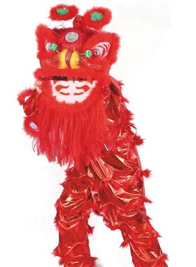舞狮子道具单人舞狮南狮醒狮狮头服装儿童狮子头舞狮整套