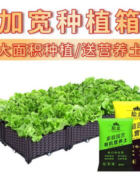 种菜专用箱阳台楼顶特大蔬菜神器营养有机土长方形塑料种植花盆槽