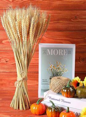 50PCs Natural Dried Wheat Ear Flower Real Flowers Bouquet Or