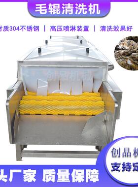 供应玉米气泡清洗机全自动四季豆气泡清洗机山药豆气泡清洗机