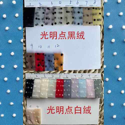 直销新款植绒网纱布料小圆点面料网布女装裙纱服装网眼布植绒波点 - 图2