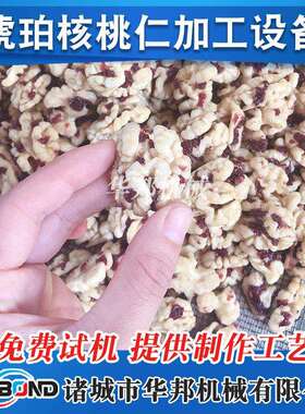 琥珀核桃锅仁挂糖入296味机 酱料自动温行星炒控椒盐核桃 仁炒制