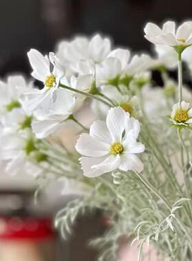 森空间仿真花植物装饰桌面摆件适合电视柜摆放雏菊假花瓶花艺摆设