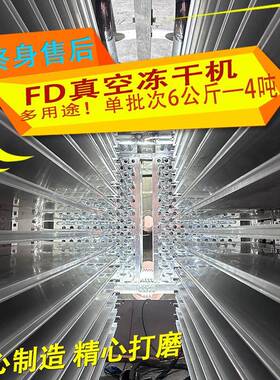 FD中药材食品用冻干机果蔬真空水果冻干设备草莓真空冷冻干燥机