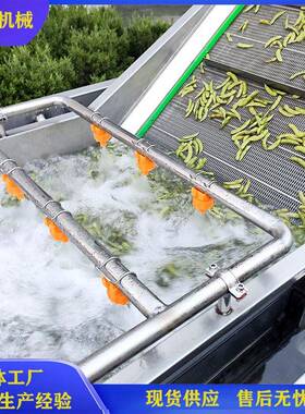 全自动毛豆风选清洗机 网带气泡式毛豆加工流水线设备 洗毛豆机器