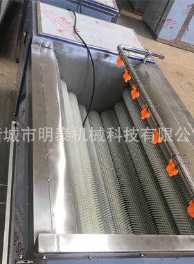 红苕U型毛辊清洗机甜菜毛刷清洗去泥机辣根加工设备扇贝去泥机