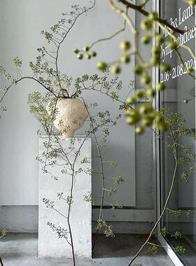 久伴饰天然山归来装干干WTB高燥花束插花真花长枝客厅桌面饰摆侘