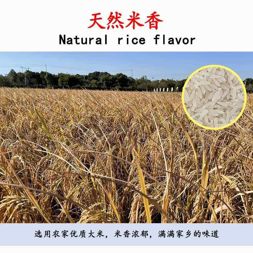 广西玉林北流特产牛腩粉桂林米粉螺丝粉农家干米粉炒粉散装米线,淘宝优惠券,粉丝福利购,淘宝优惠卷