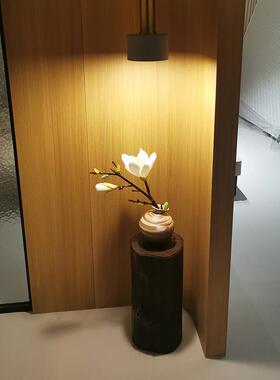 原实木子碳化烟熏古木头圆木墩树桩根雕摆件木垫高底座支架凳覆托