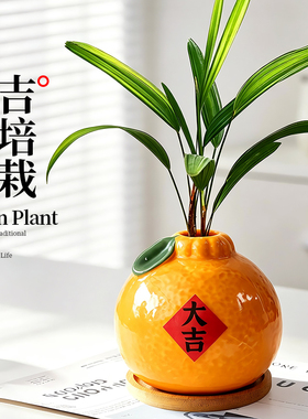 有艺术感的摆件礼物家里装饰品摆件 水培植物大吉大利橘子摆件办