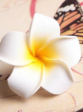 6Pcs Plumeria Flower Hair Clips for Women Girls Hairpins Egg
