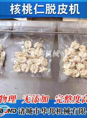 桃仁脱皮清洗机 巴旦木去皮备  松子仁去设皮核机坚KRK果脱皮机