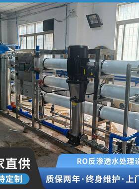 定制2吨RO反渗透水处理设备商用净水器0.5吨直饮去离子纯水设备