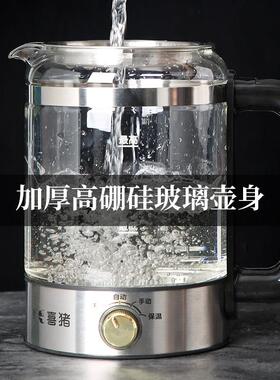 喜猪煮茶器HP-016 喷淋式蒸汽煮茶器 高硼硅玻璃煮茶器 办公室用