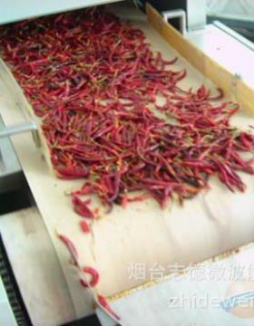 隧道式五谷杂粮微波熟化设备大豆微波烘烤设备红豆薏米微波烘焙机