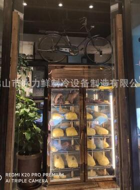 干式熟成牛肉柜展示柜深海鱼熟成柜西餐厅烤肉店排酸柜挂肉保鲜柜
