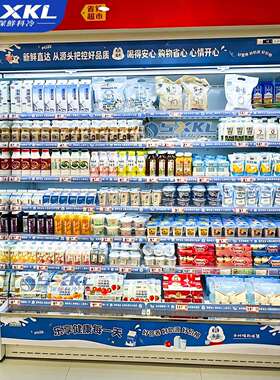 深鲜商超便利店饮料冰箱冷柜风幕柜低温冷藏展示柜风冷双风道酸奶